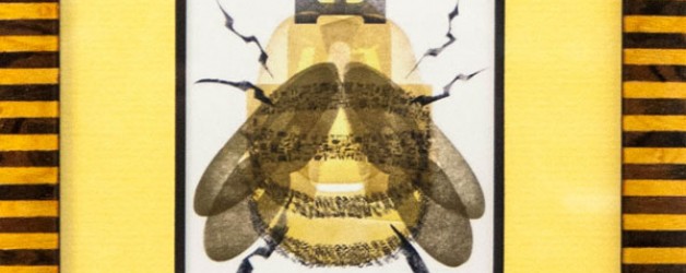 Honey Bee | Size of the Art doesn’t Measure its HEART
